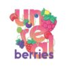 UNREAL BERRIES 100ML SHORTFILL 0MG